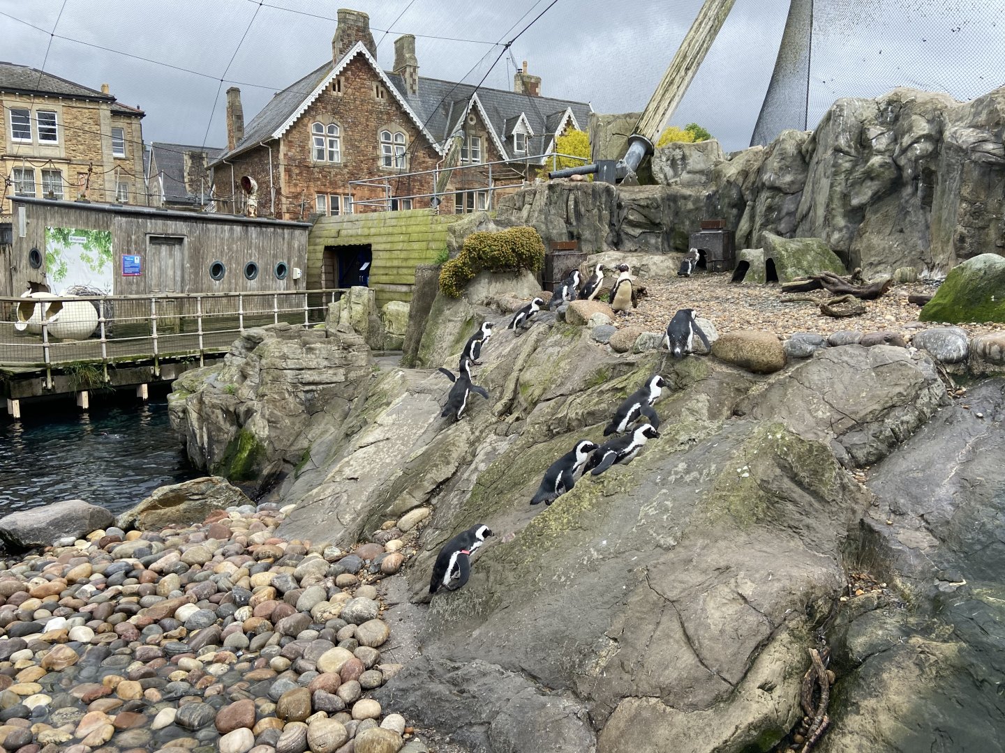 Bristol Zoo Seal and Penguin Coasts