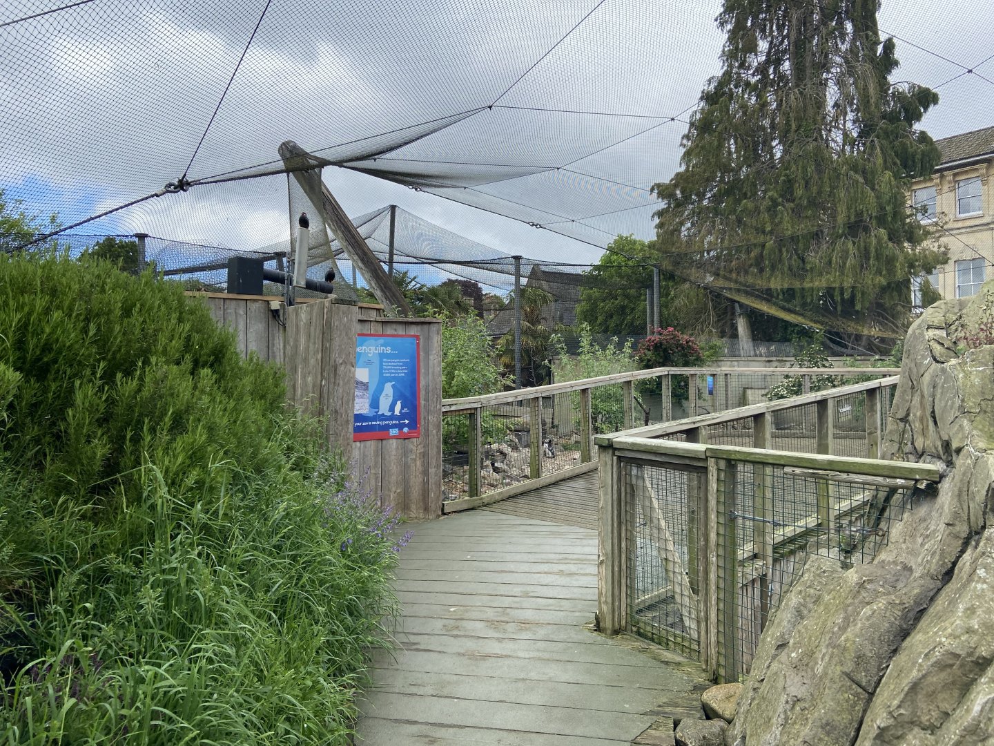 Bristol Zoo Seal and Penguin Coasts