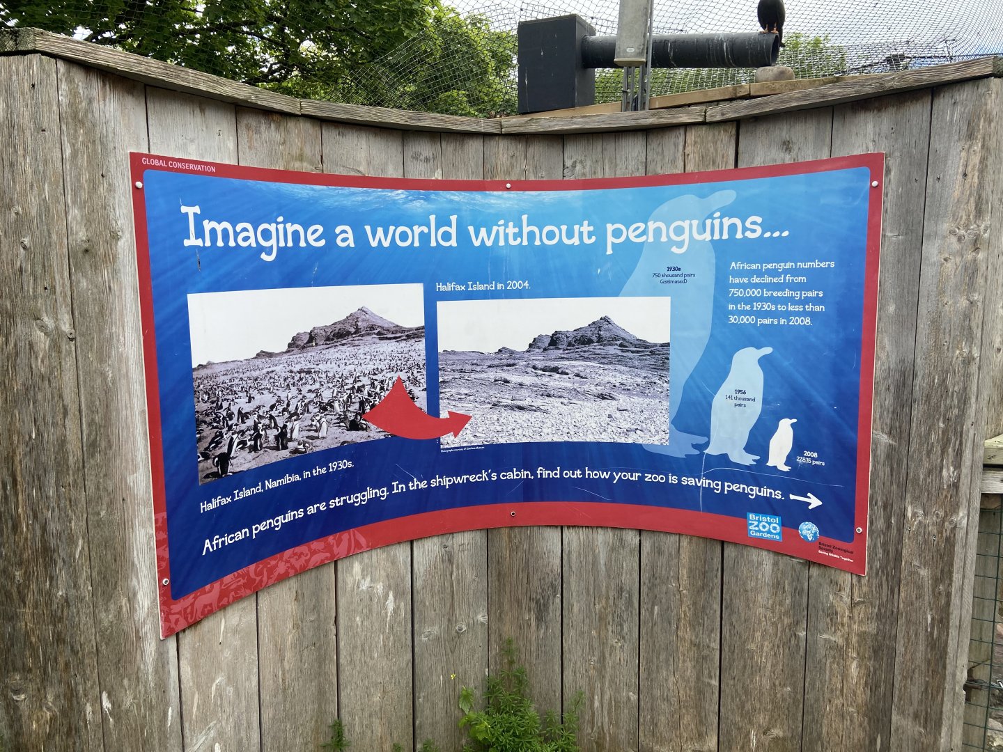 Bristol Zoo Seal and Penguin Coasts