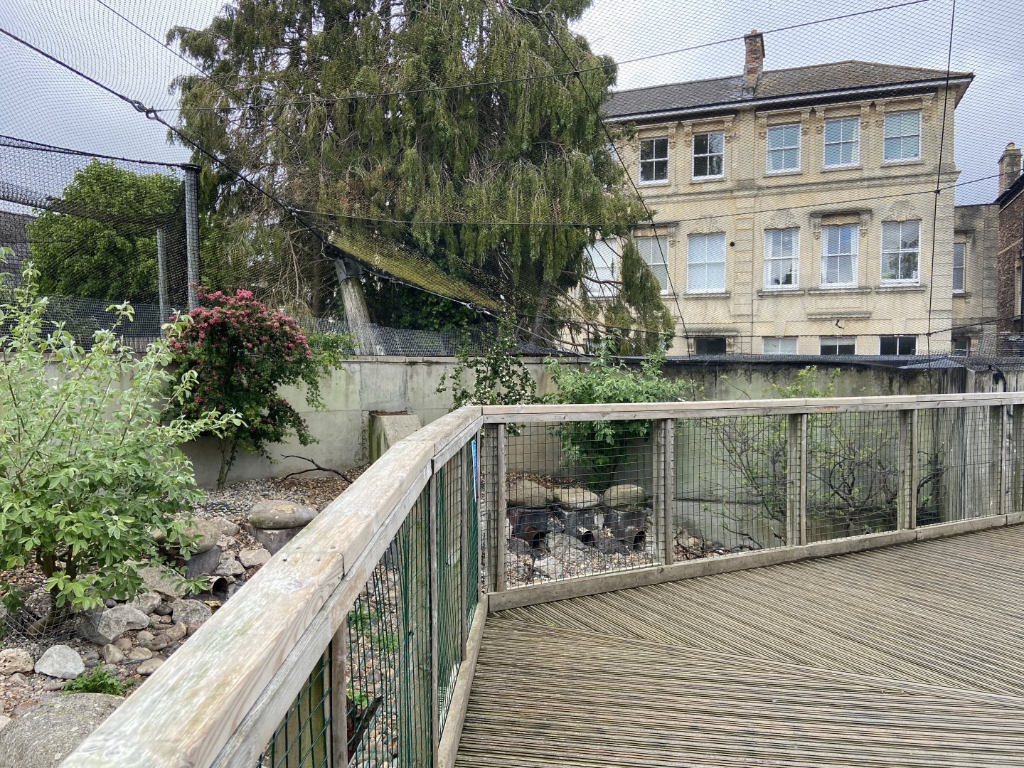 Bristol Zoo Seal and Penguin Coasts