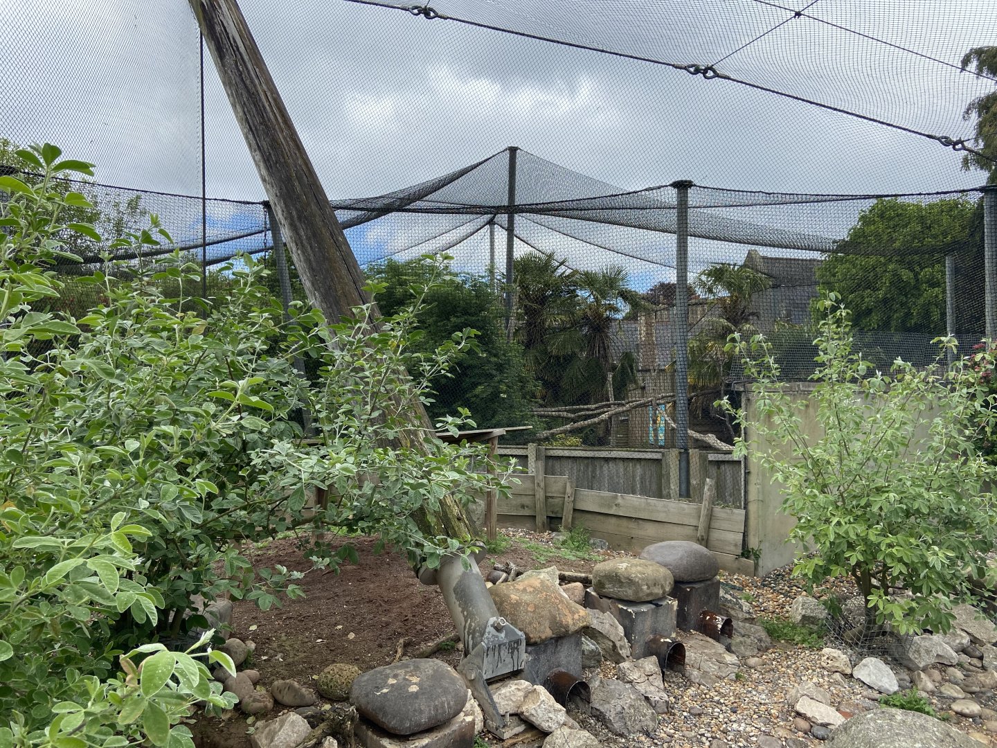 Bristol Zoo Seal and Penguin Coasts