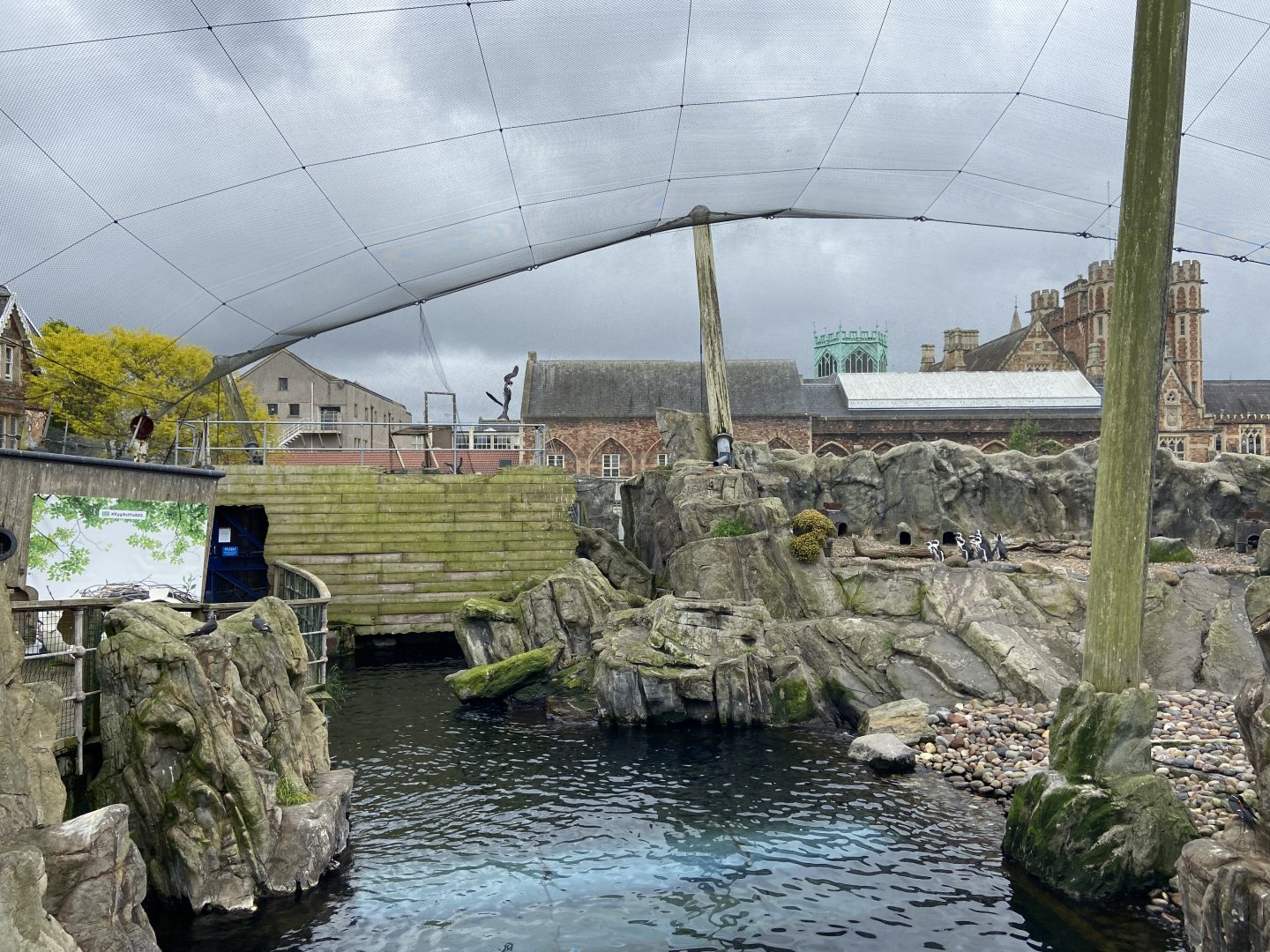 Bristol Zoo Seal and Penguin Coasts
