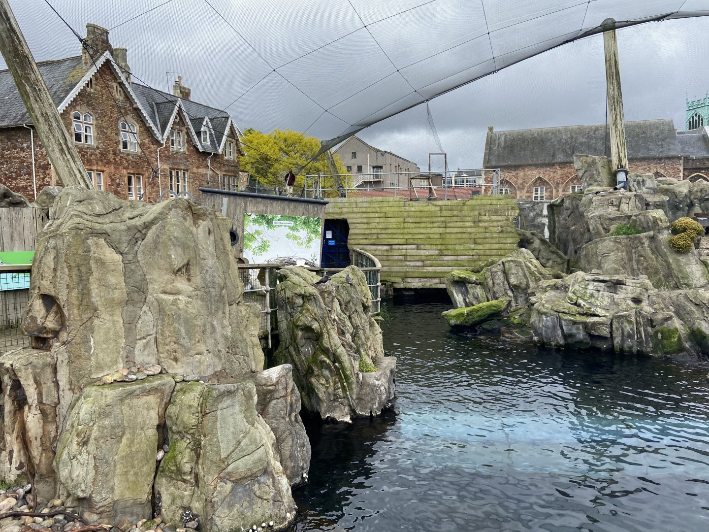 Bristol Zoo Seal and Penguin Coasts