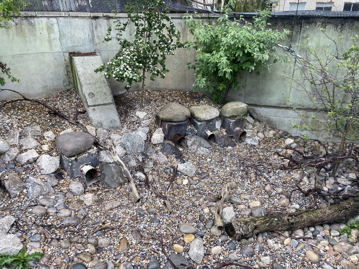 Bristol Zoo Seal and Penguin Coasts