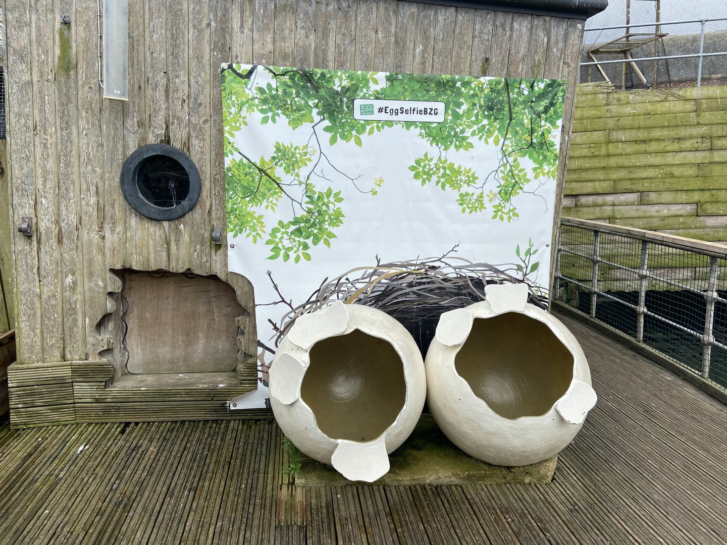 Bristol Zoo Seal and Penguin Coasts