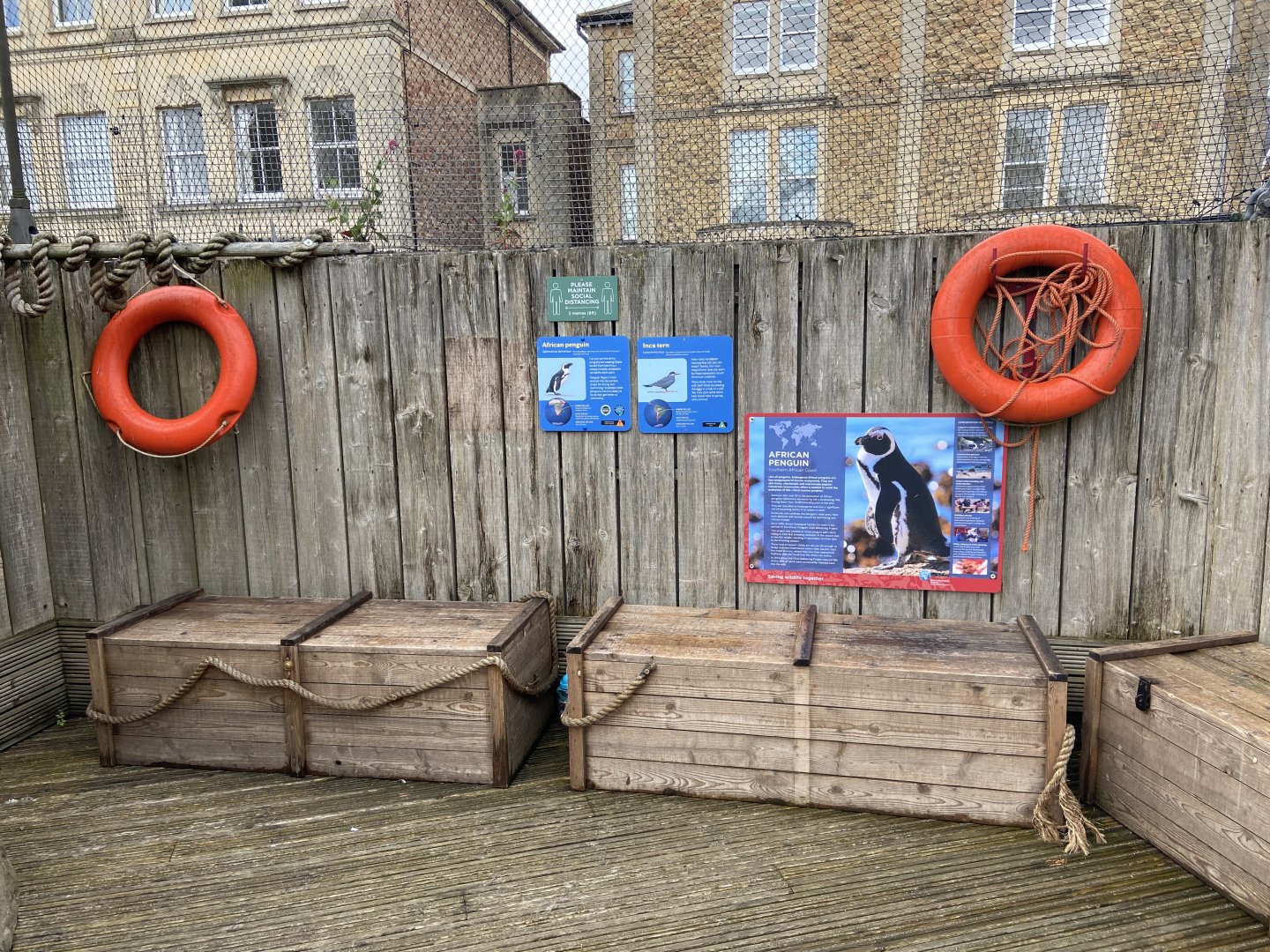 Bristol Zoo Seal and Penguin Coasts