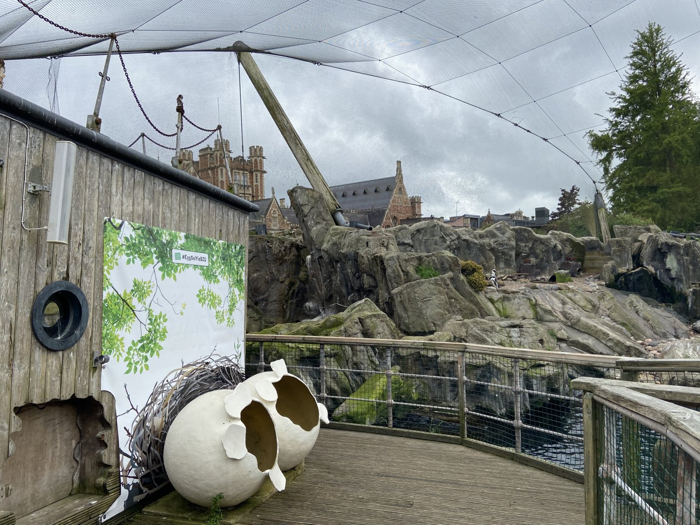 Bristol Zoo Seal and Penguin Coasts