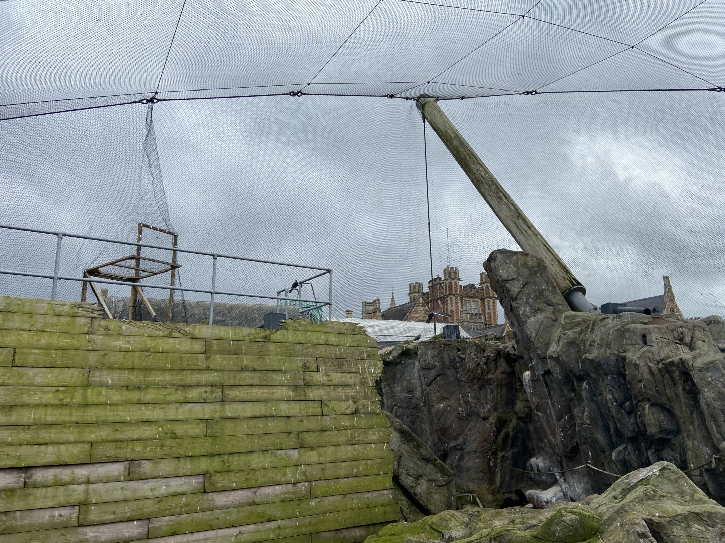 Bristol Zoo Seal and Penguin Coasts