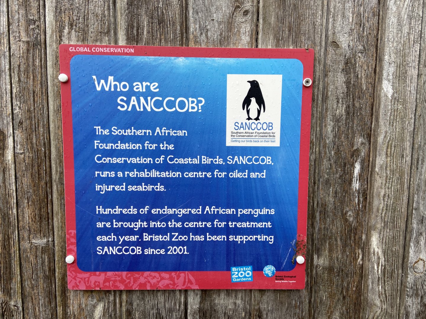Bristol Zoo Seal and Penguin Coasts