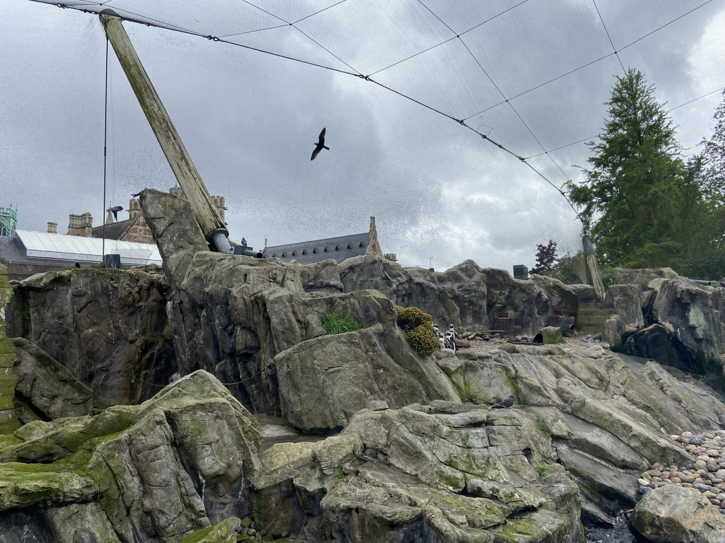 Bristol Zoo Seal and Penguin Coasts