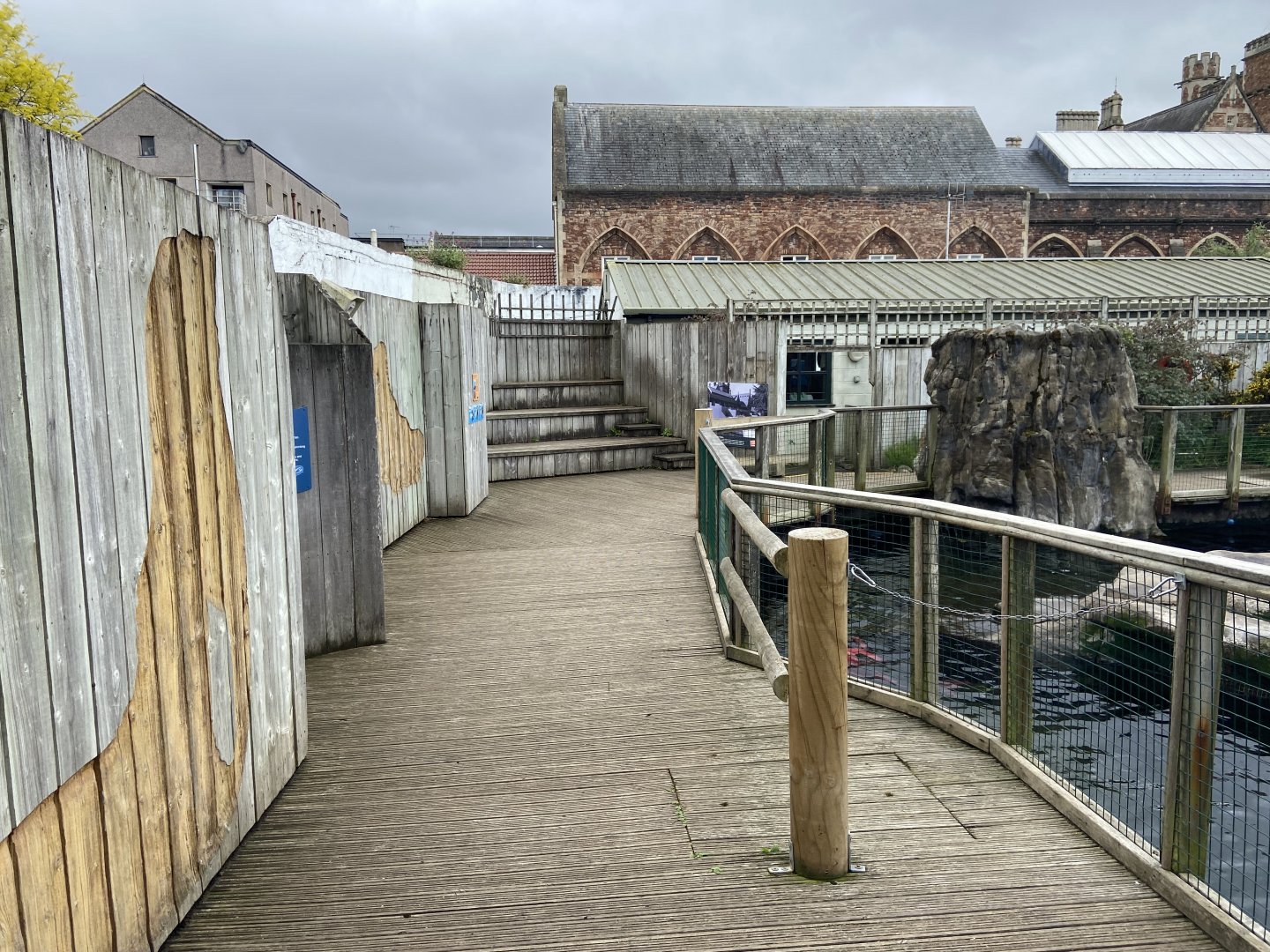 Bristol Zoo Seal and Penguin Coasts
