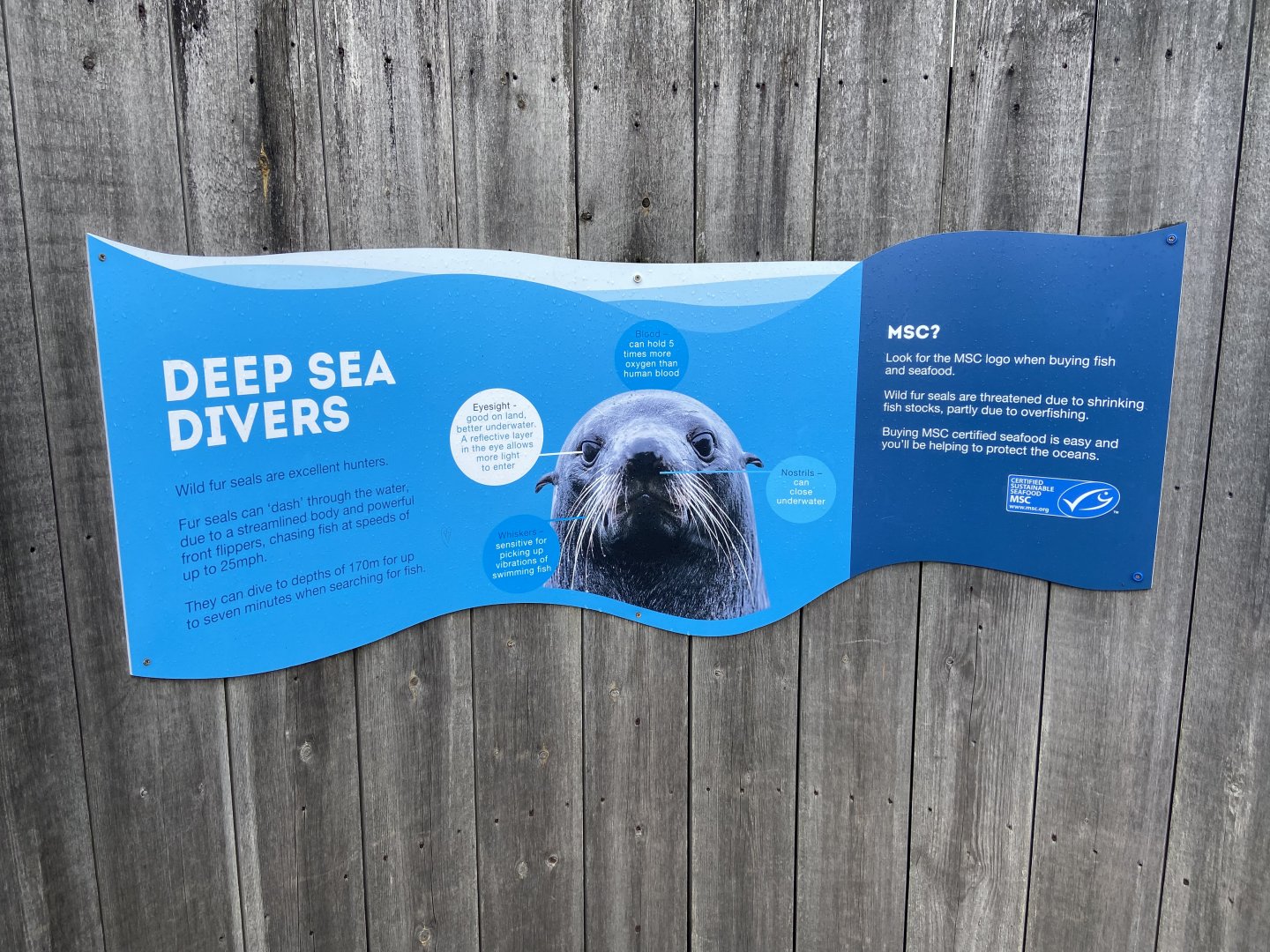 Bristol Zoo Seal and Penguin Coasts