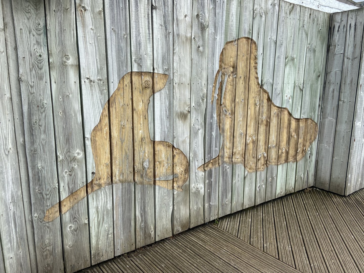 Bristol Zoo Seal and Penguin Coasts