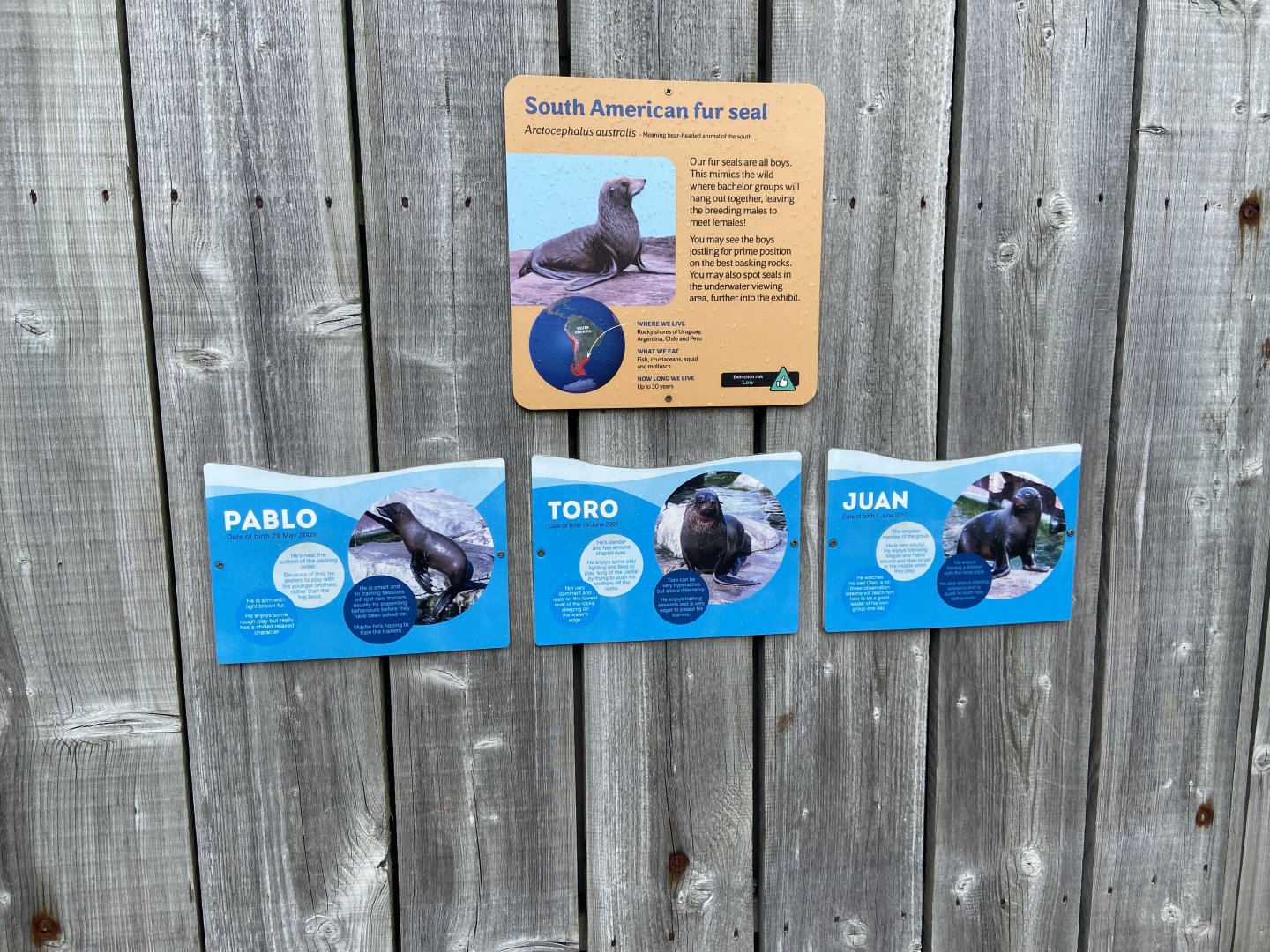 Bristol Zoo Seal and Penguin Coasts