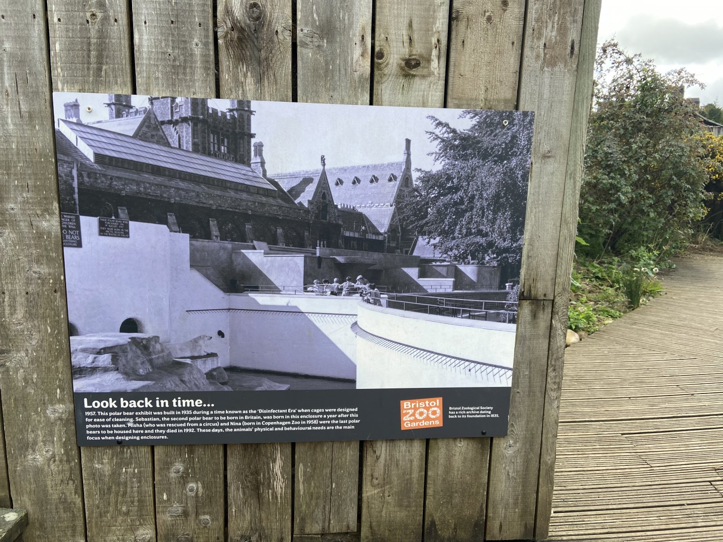 Bristol Zoo Seal and Penguin Coasts