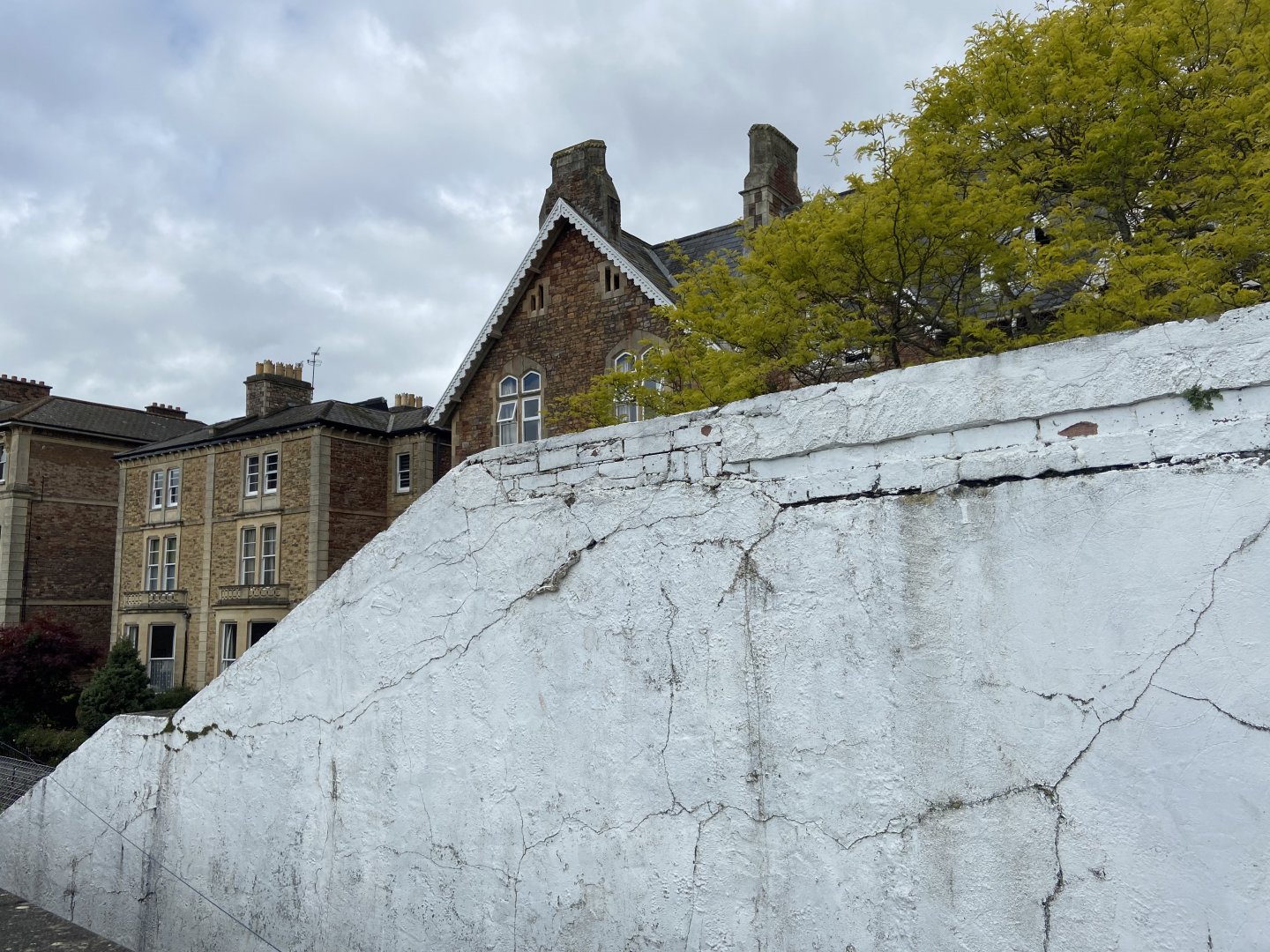 Bristol Zoo Seal and Penguin Coasts