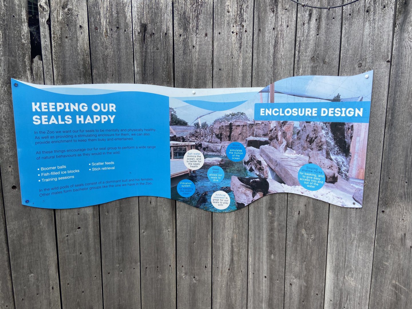 Bristol Zoo Seal and Penguin Coasts