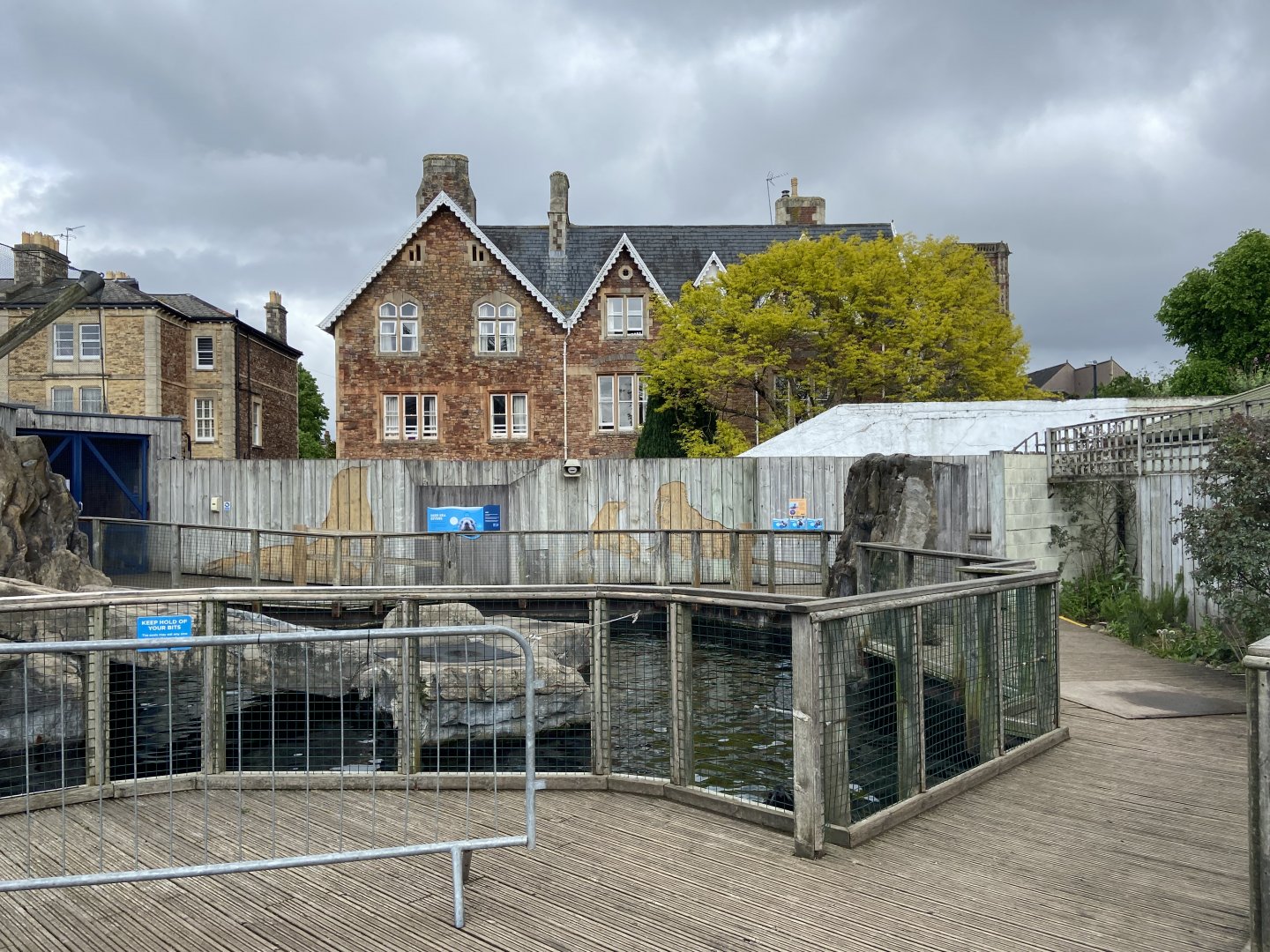 Bristol Zoo Seal and Penguin Coasts