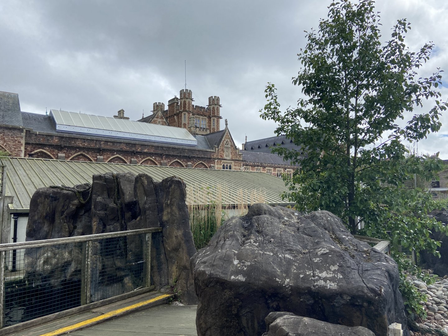 Bristol Zoo Seal and Penguin Coasts