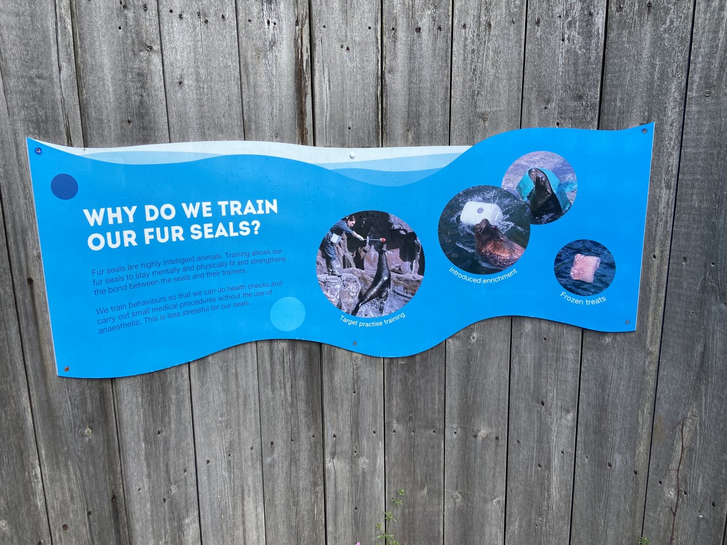 Bristol Zoo Seal and Penguin Coasts