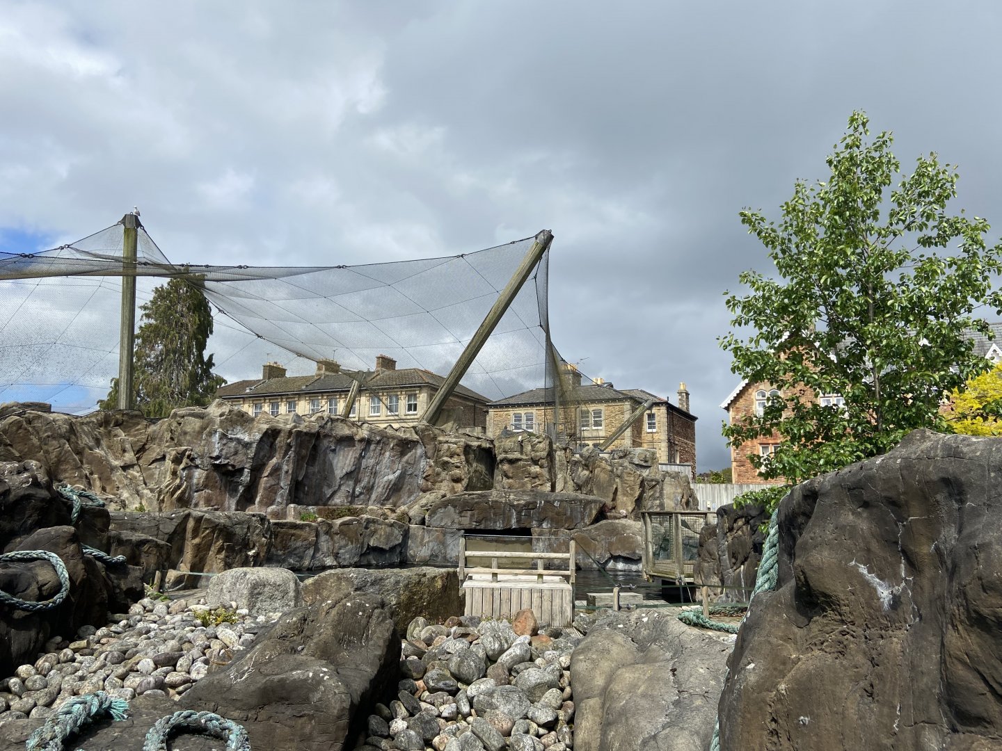 Bristol Zoo Seal and Penguin Coasts