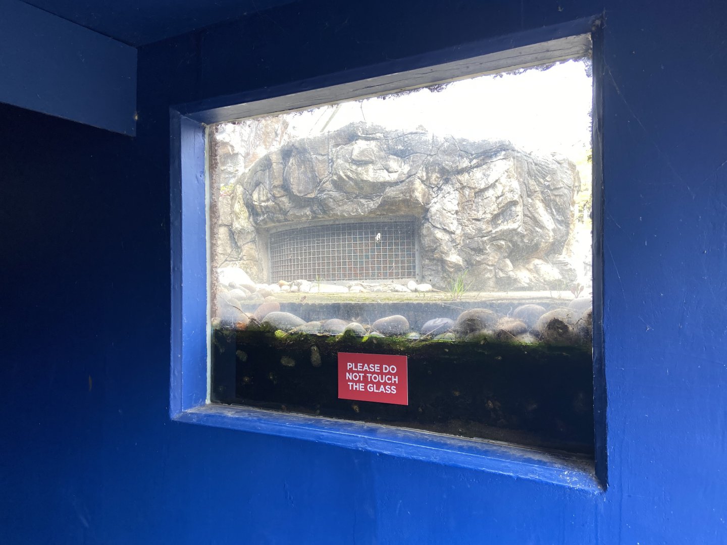 Bristol Zoo Seal and Penguin Coasts