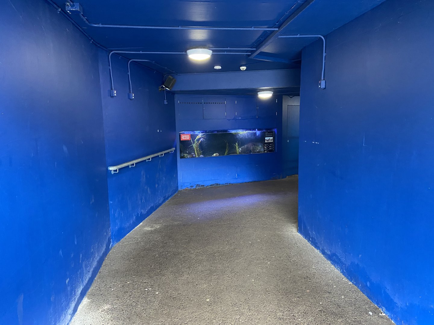 Bristol Zoo Seal and Penguin Coasts