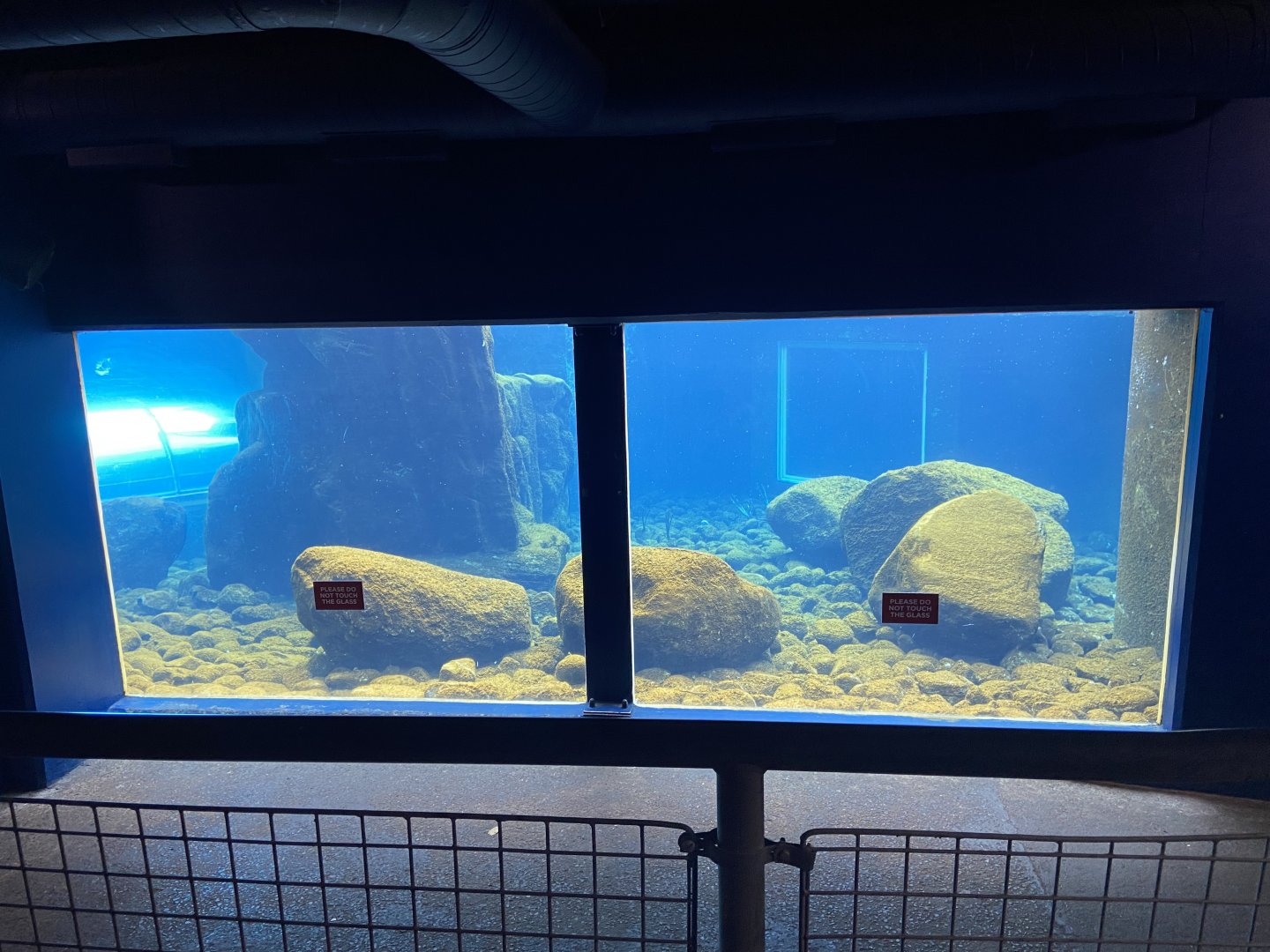 Bristol Zoo Seal and Penguin Coasts