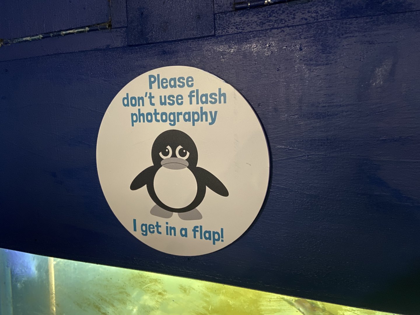 Bristol Zoo Seal and Penguin Coasts