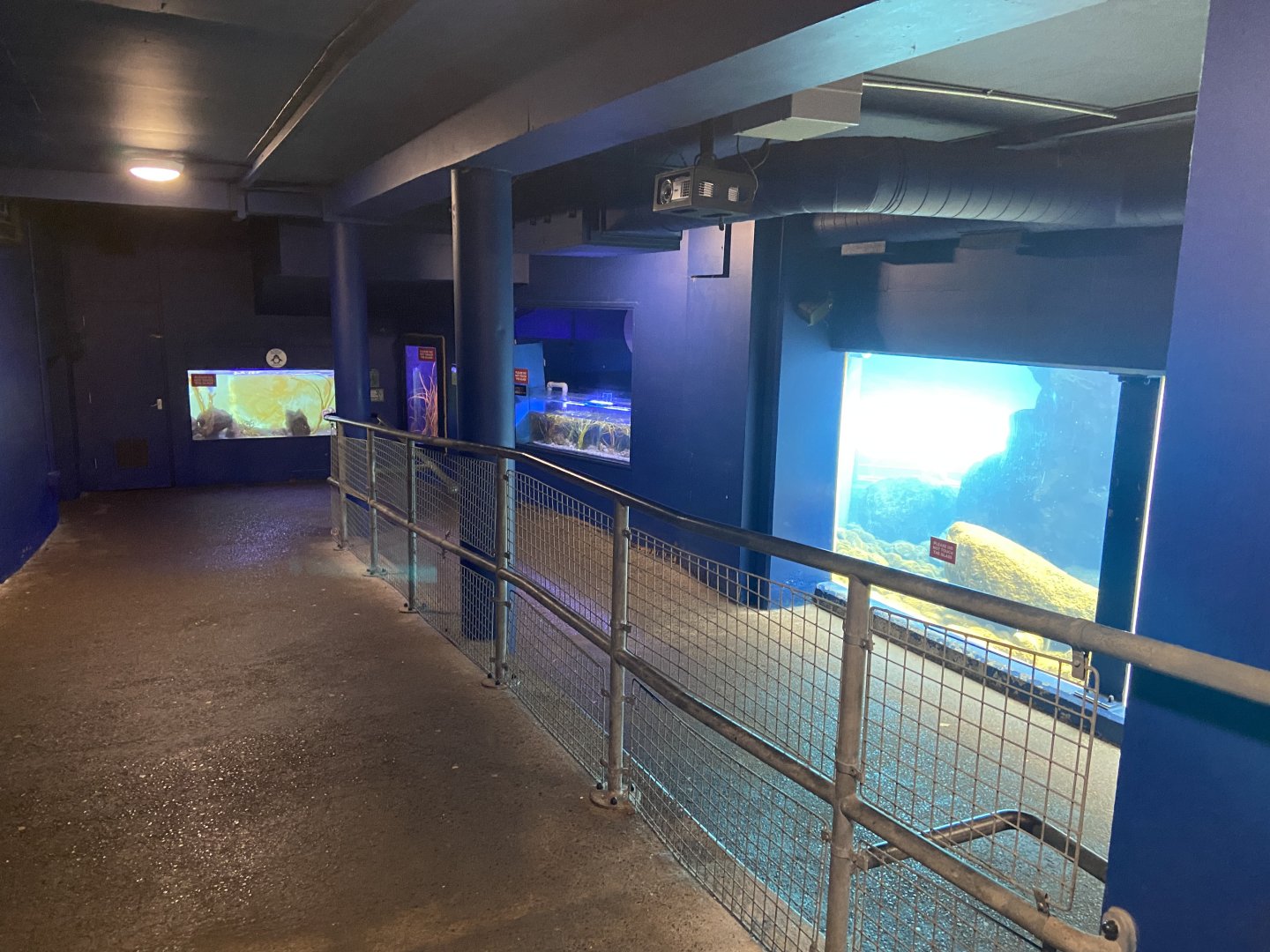 Bristol Zoo Seal and Penguin Coasts