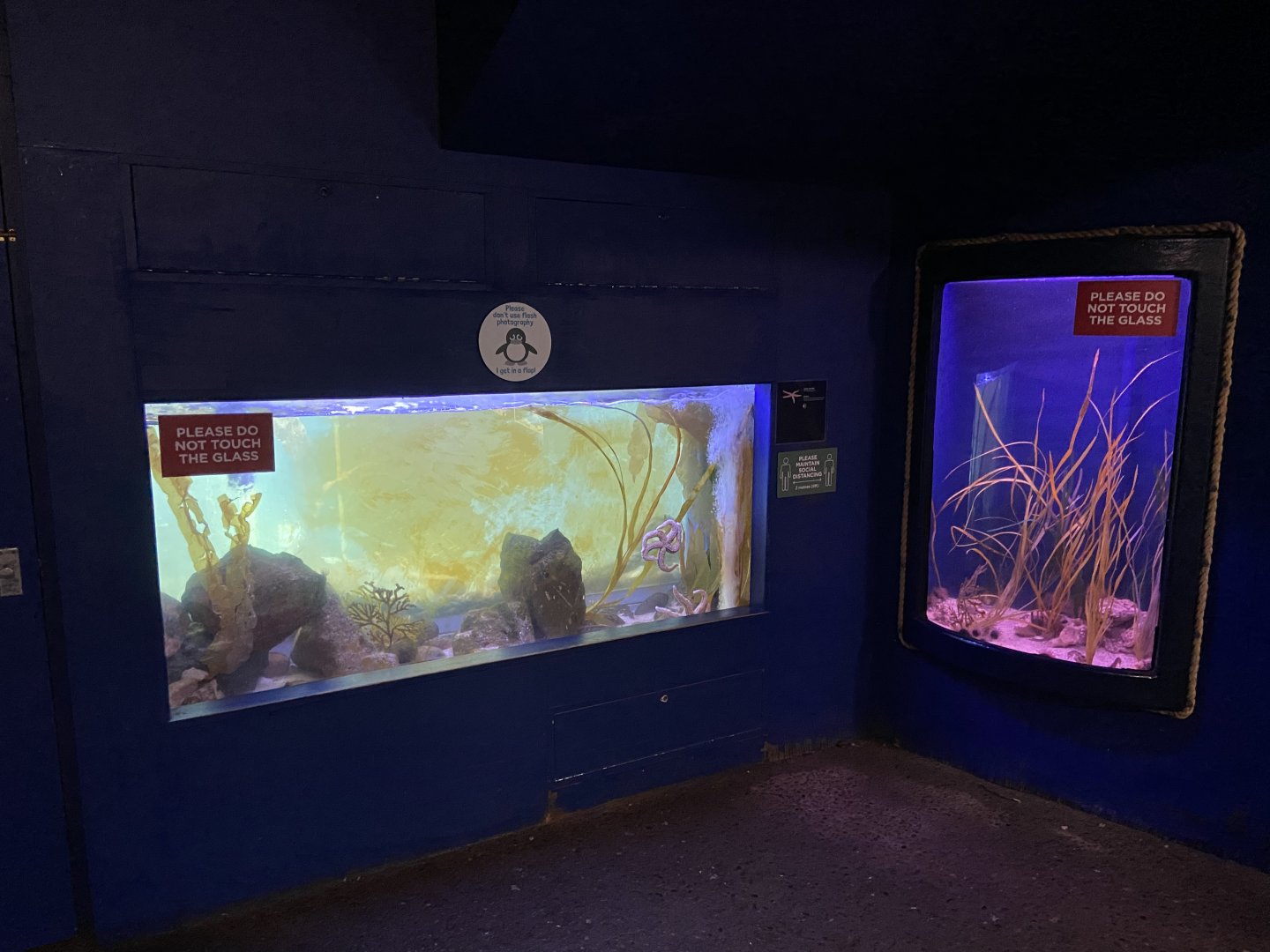 Bristol Zoo Seal and Penguin Coasts