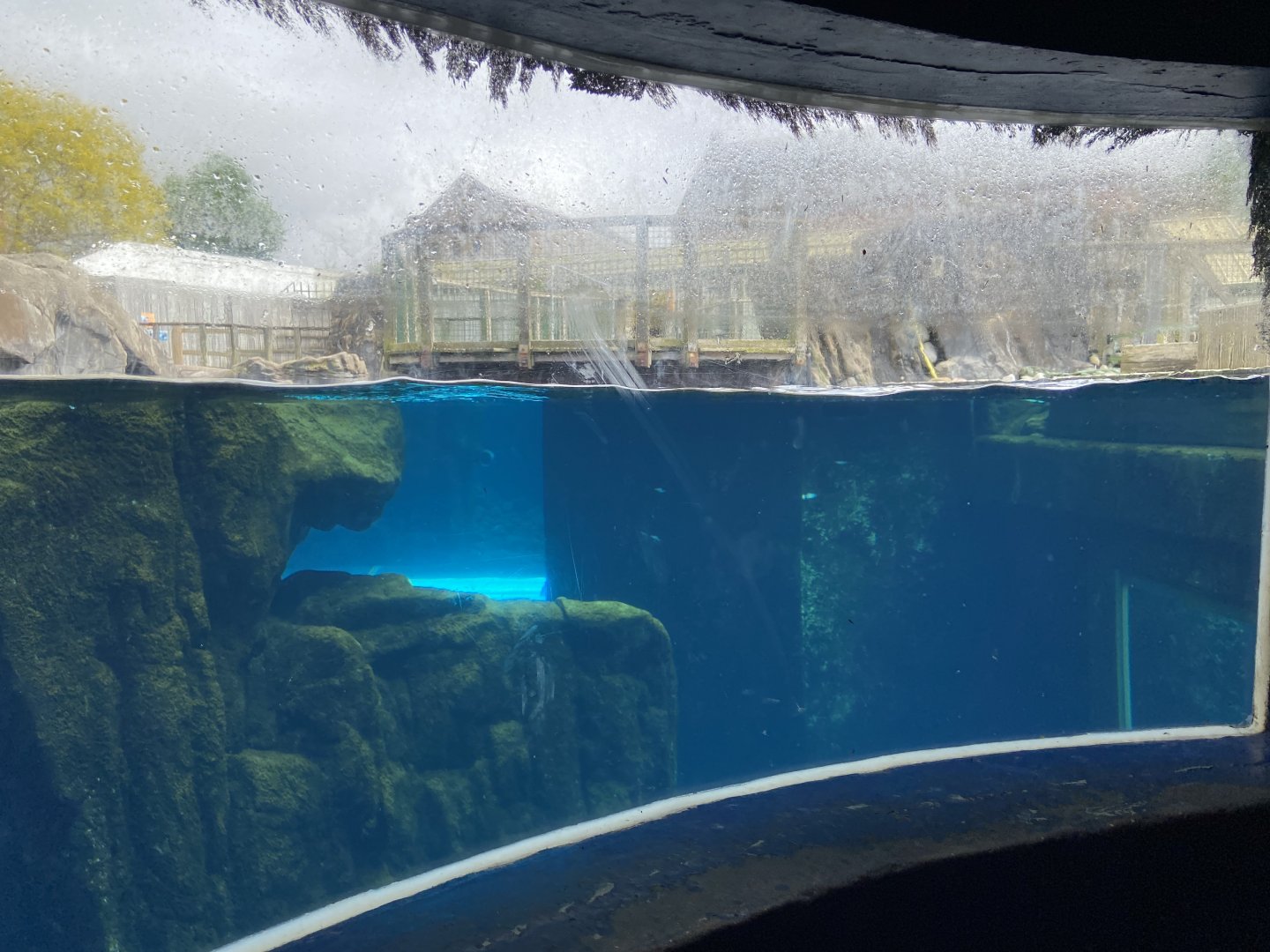 Bristol Zoo Seal and Penguin Coasts