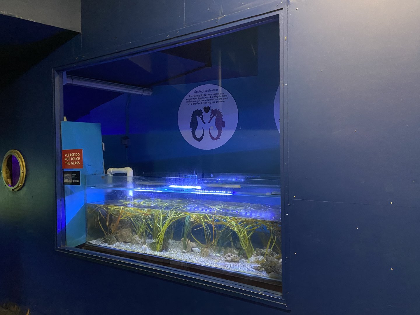 Bristol Zoo Seal and Penguin Coasts