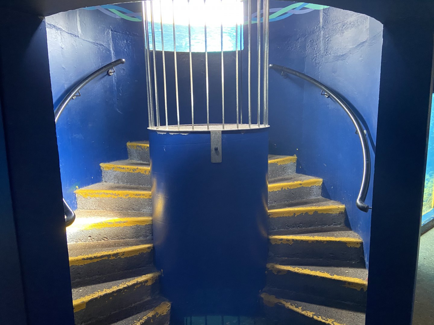 Bristol Zoo Seal and Penguin Coasts