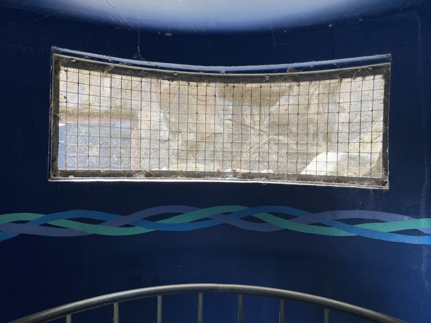 Bristol Zoo Seal and Penguin Coasts