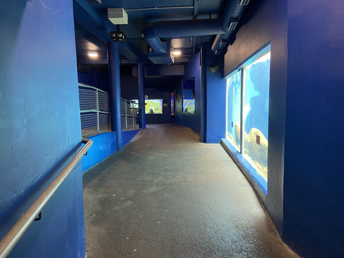 Bristol Zoo Seal and Penguin Coasts