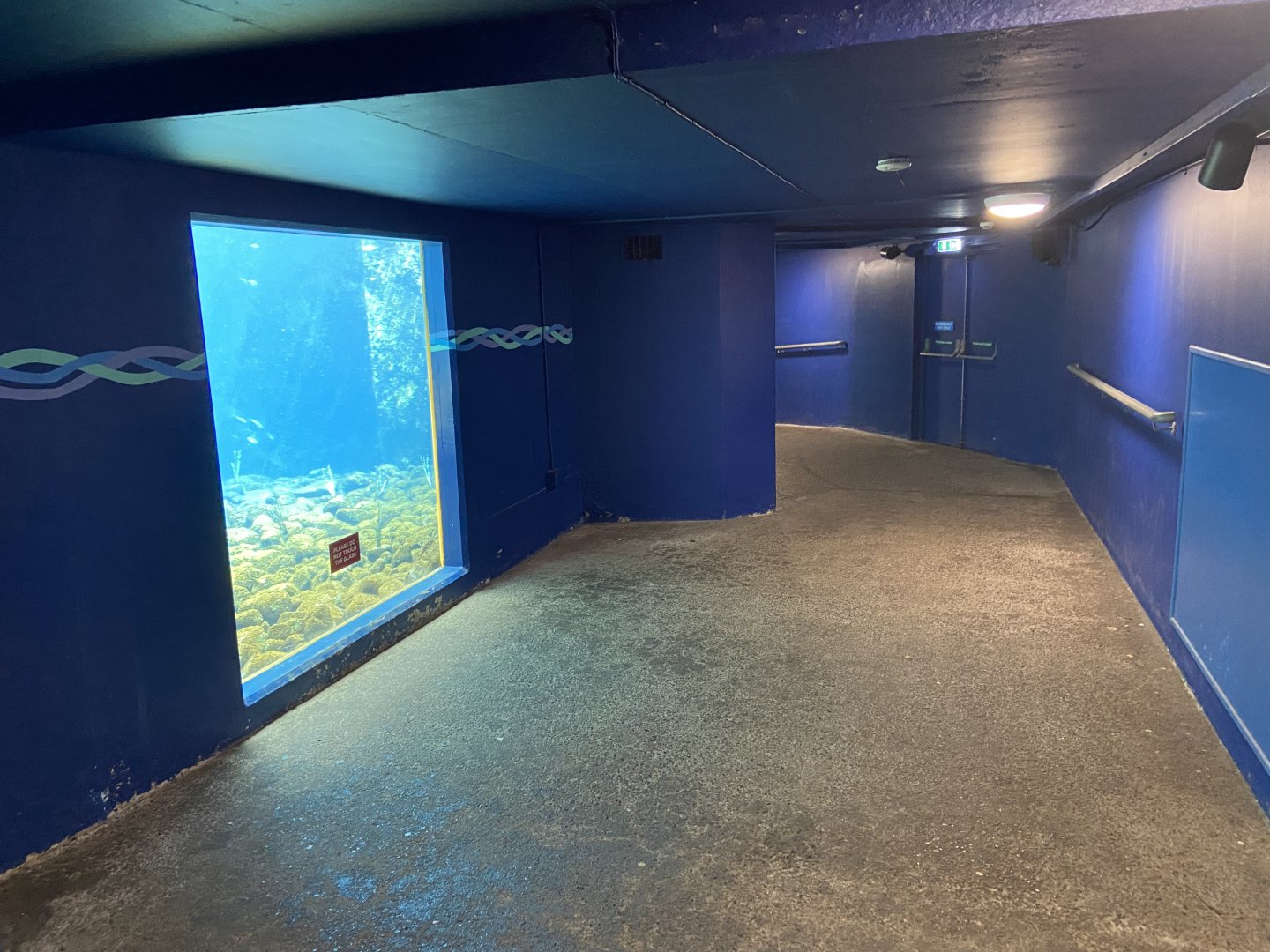 Bristol Zoo Seal and Penguin Coasts