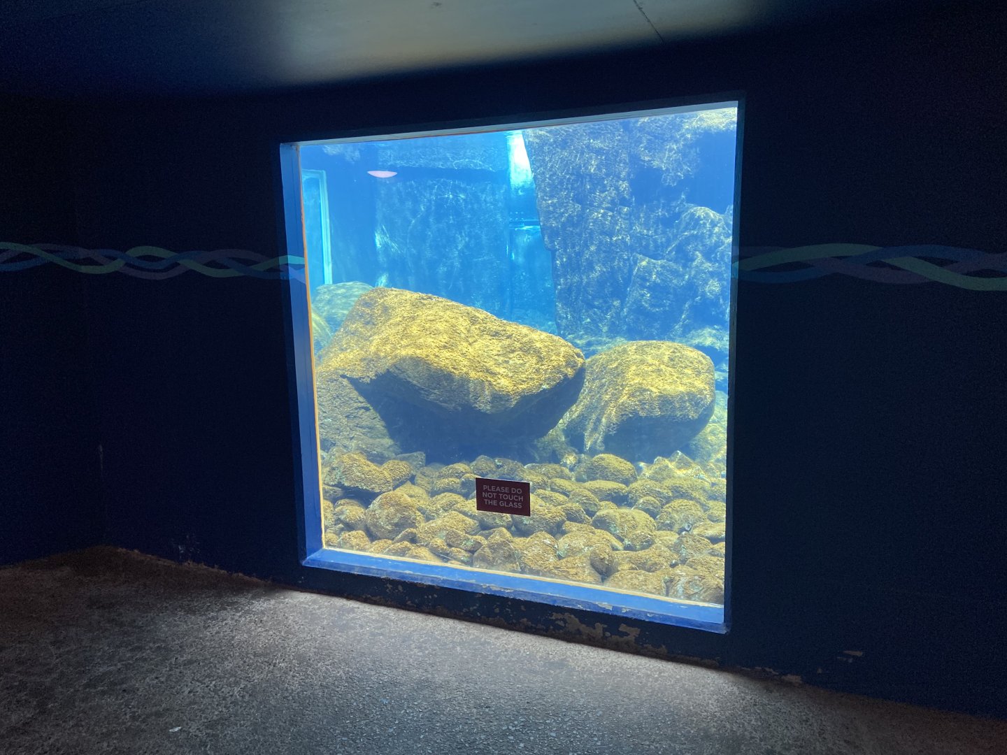 Bristol Zoo Seal and Penguin Coasts