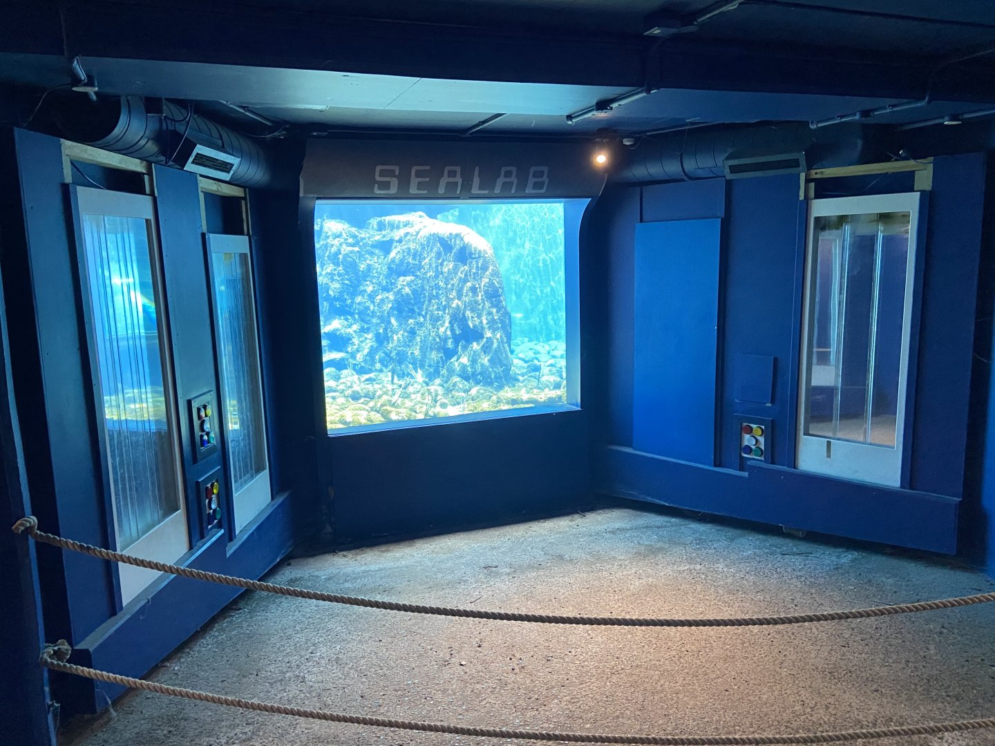 Bristol Zoo Seal and Penguin Coasts