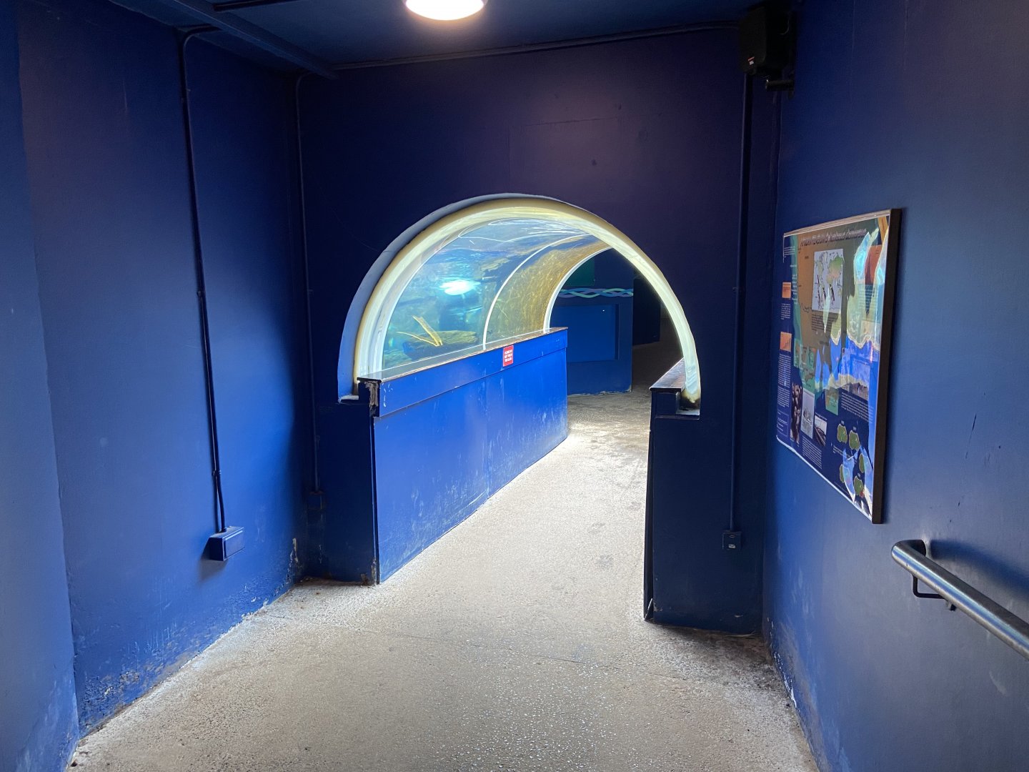 Bristol Zoo Seal and Penguin Coasts