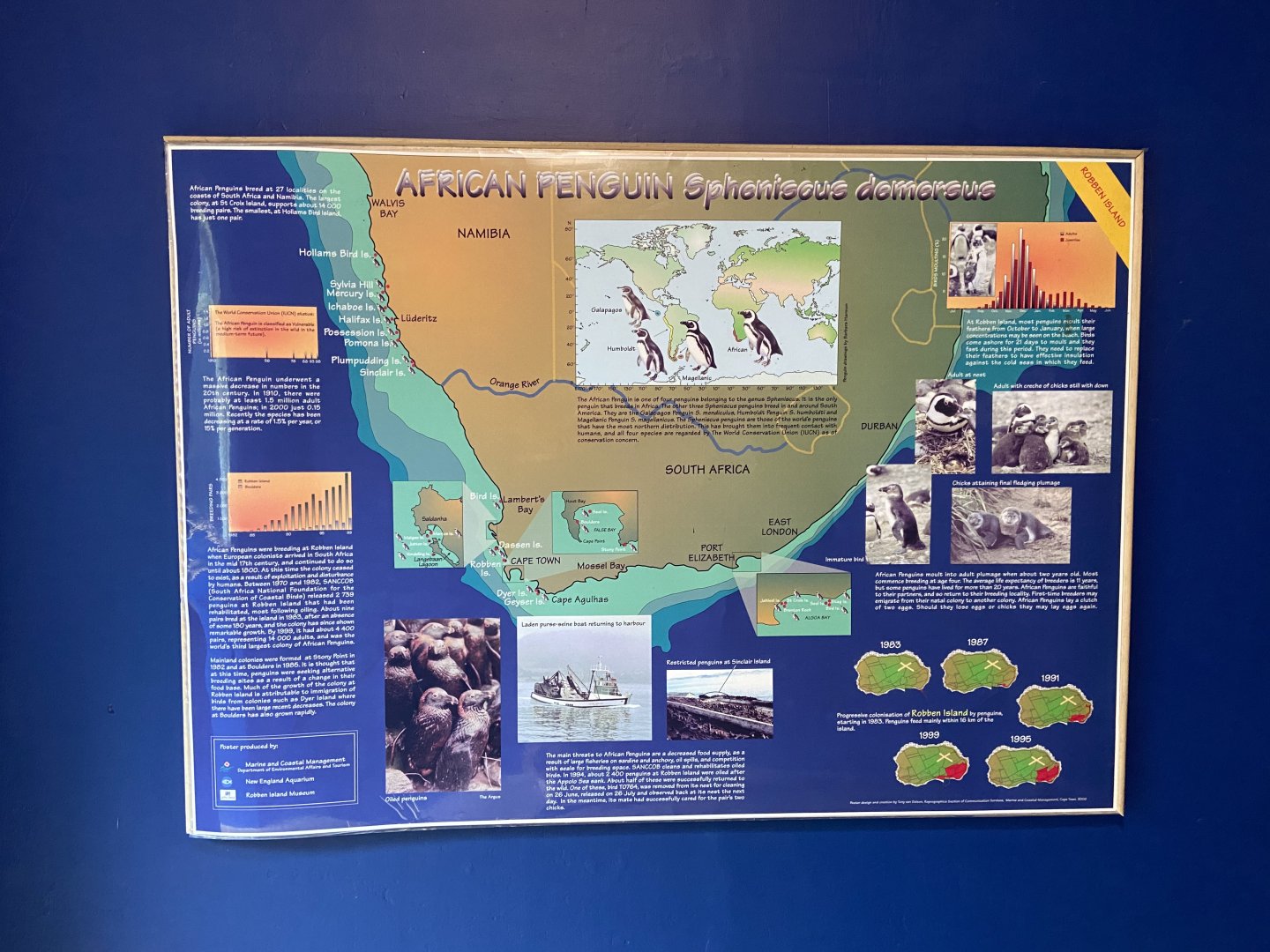 Bristol Zoo Seal and Penguin Coasts