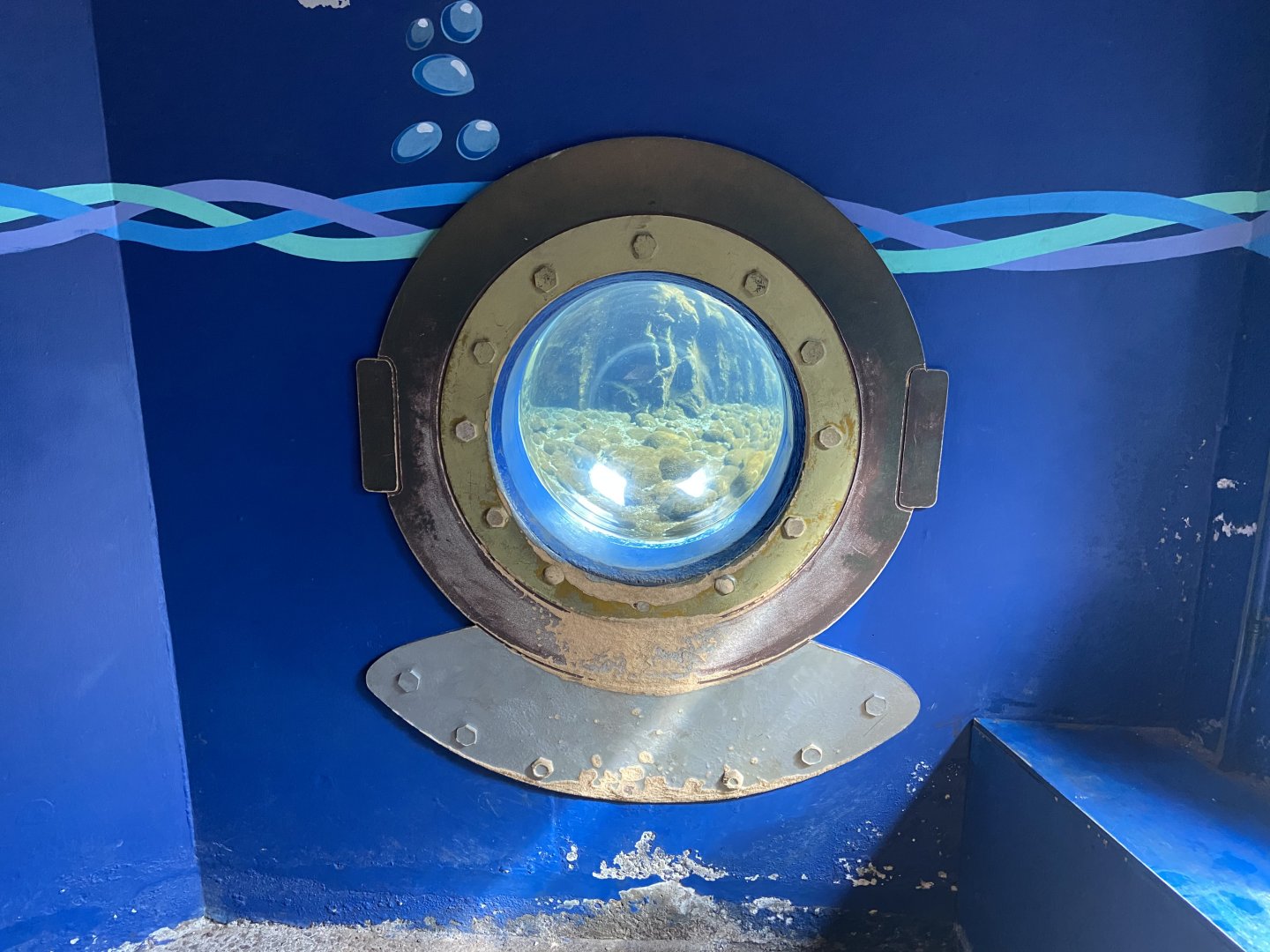 Bristol Zoo Seal and Penguin Coasts