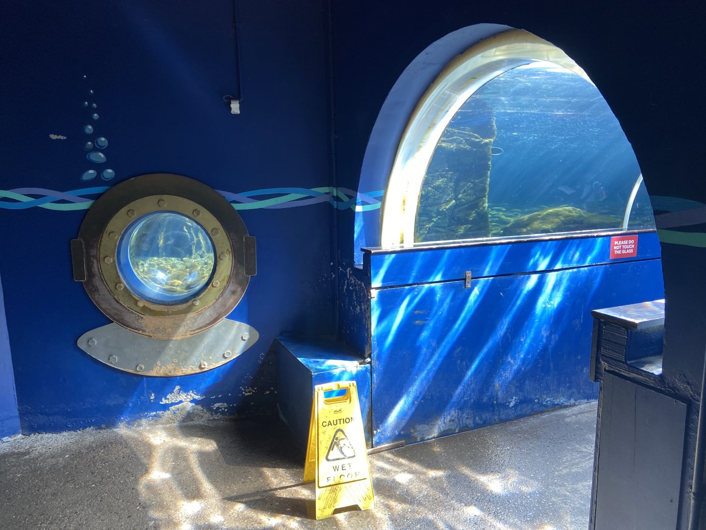 Bristol Zoo Seal and Penguin Coasts