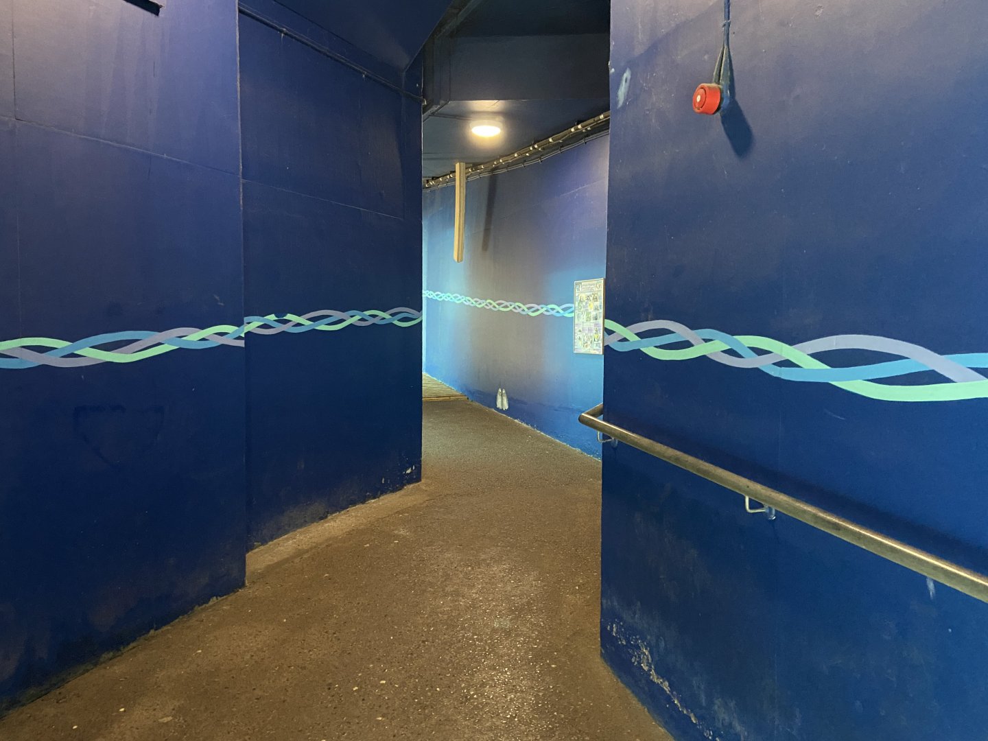 Bristol Zoo Seal and Penguin Coasts