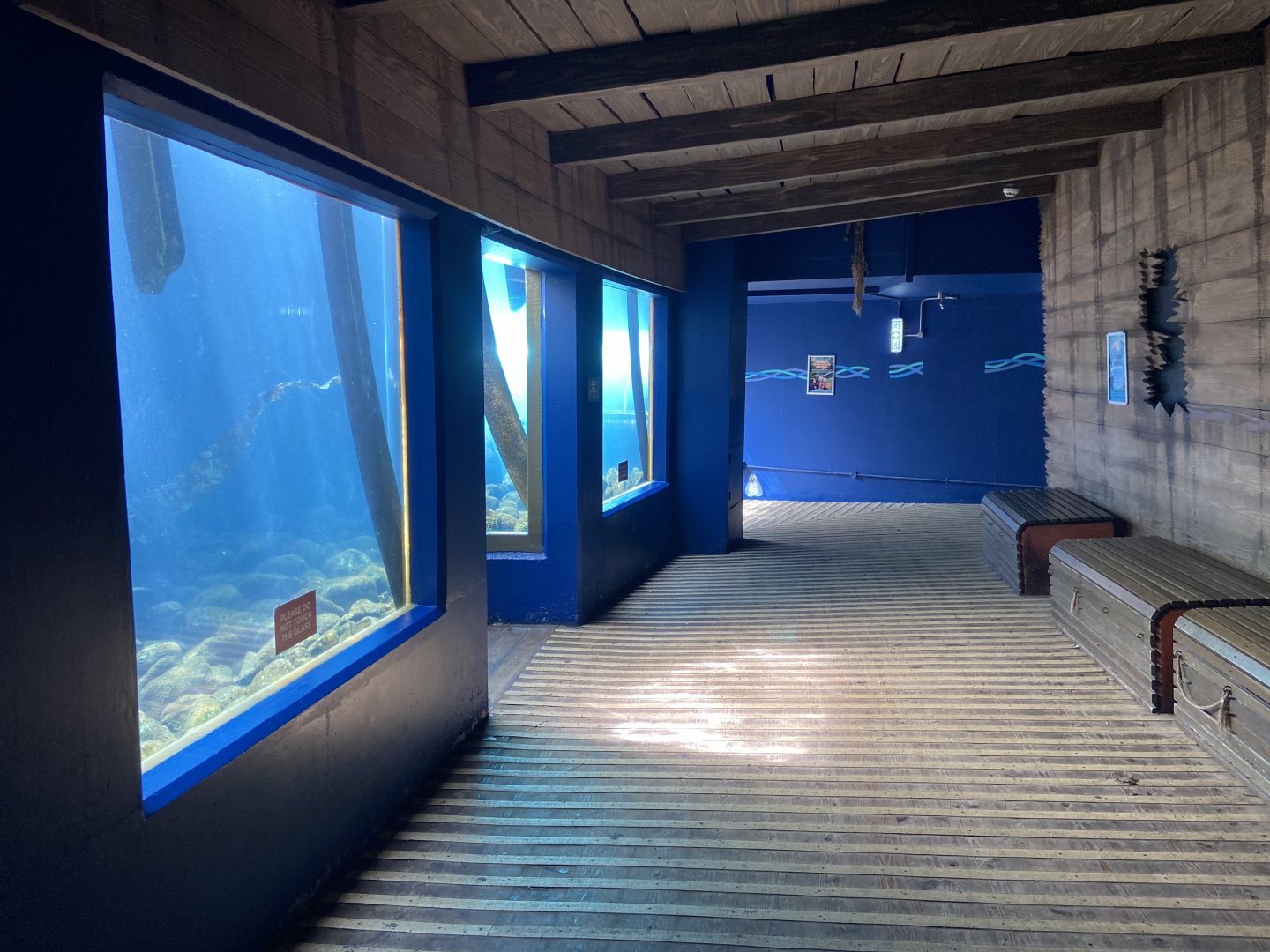 Bristol Zoo Seal and Penguin Coasts