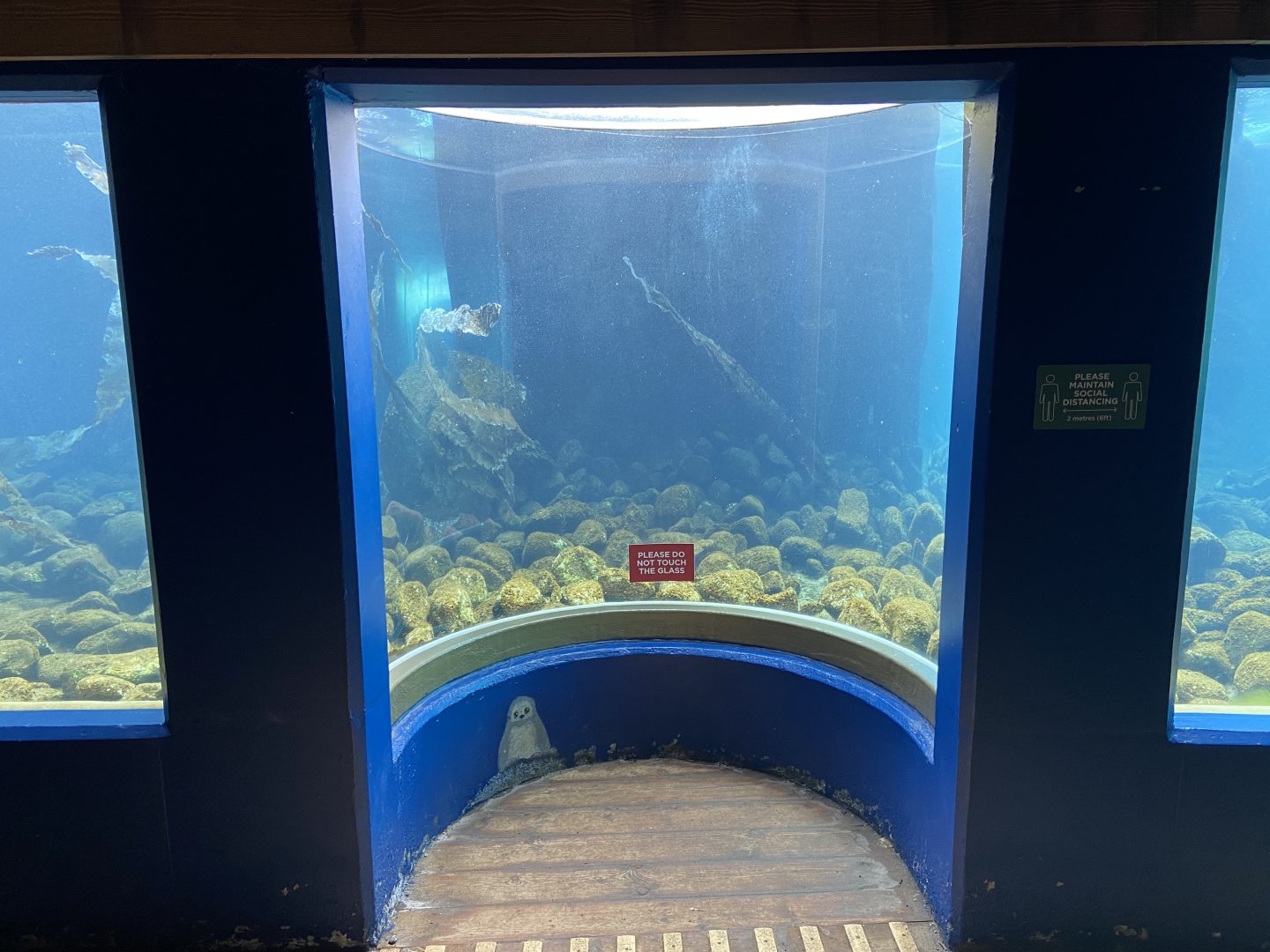 Bristol Zoo Seal and Penguin Coasts