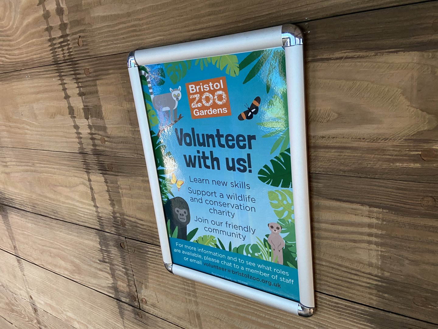 Bristol Zoo Seal and Penguin Coasts