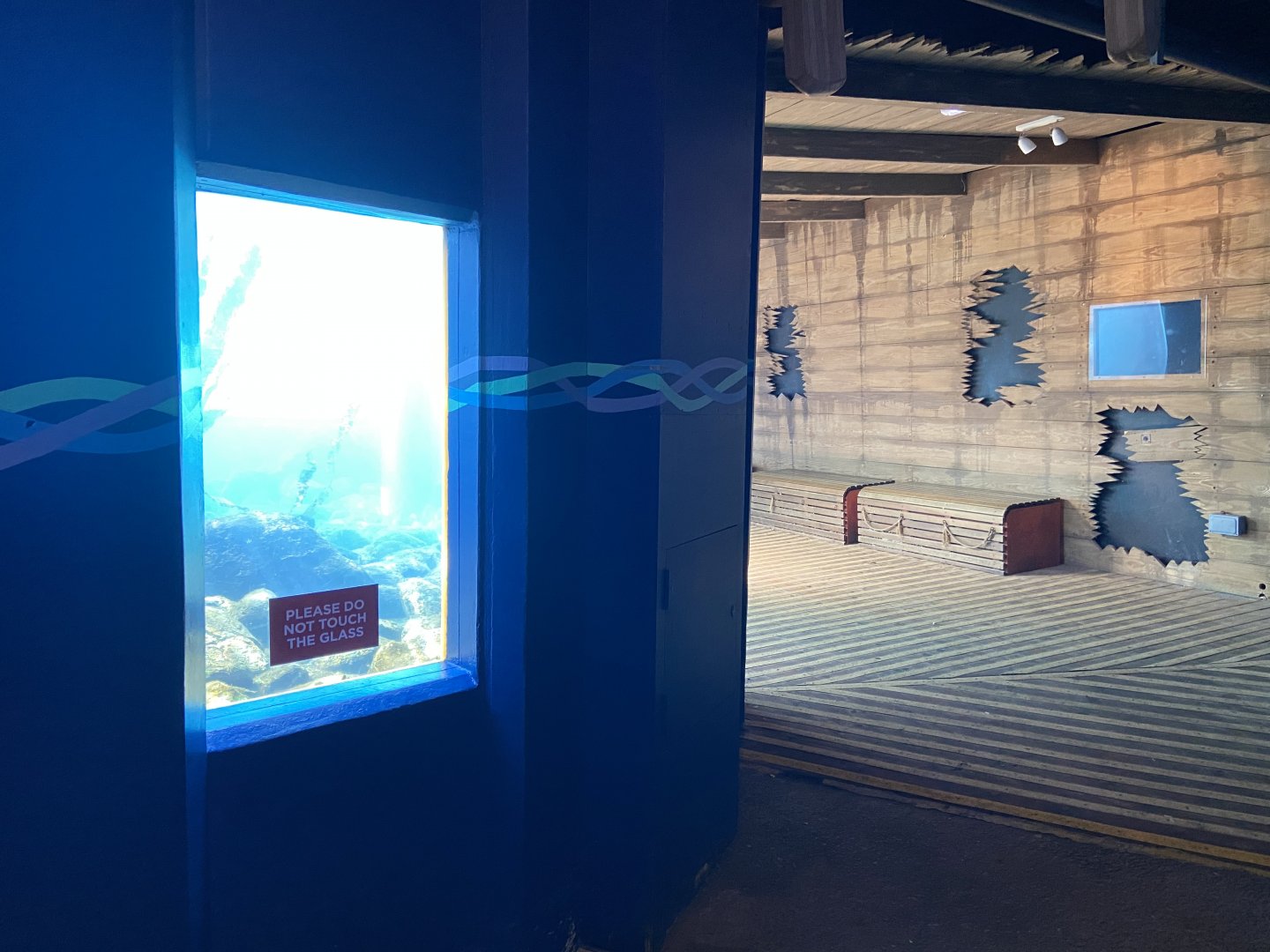 Bristol Zoo Seal and Penguin Coasts