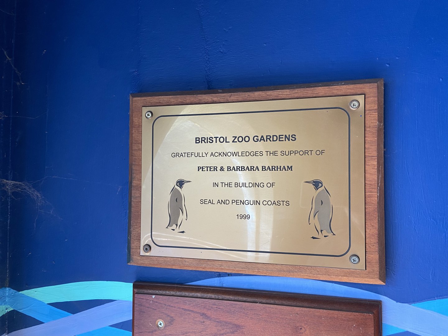 Bristol Zoo Seal and Penguin Coasts