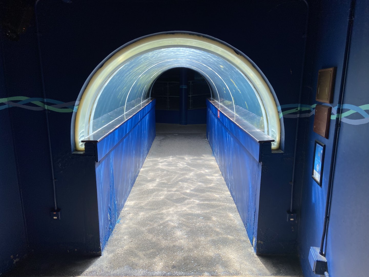 Bristol Zoo Seal and Penguin Coasts